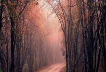 DB彩票试玩-铁血碾过绿茵场：埃瓦尔，巴斯克雄狮的征服之路