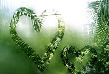 -NBA转会迷雾：那些被官方打脸的疯狂谣言