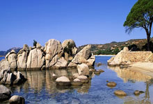 DB彩票试玩-铁血碾过绿茵场：埃瓦尔，巴斯克雄狮的征服之路