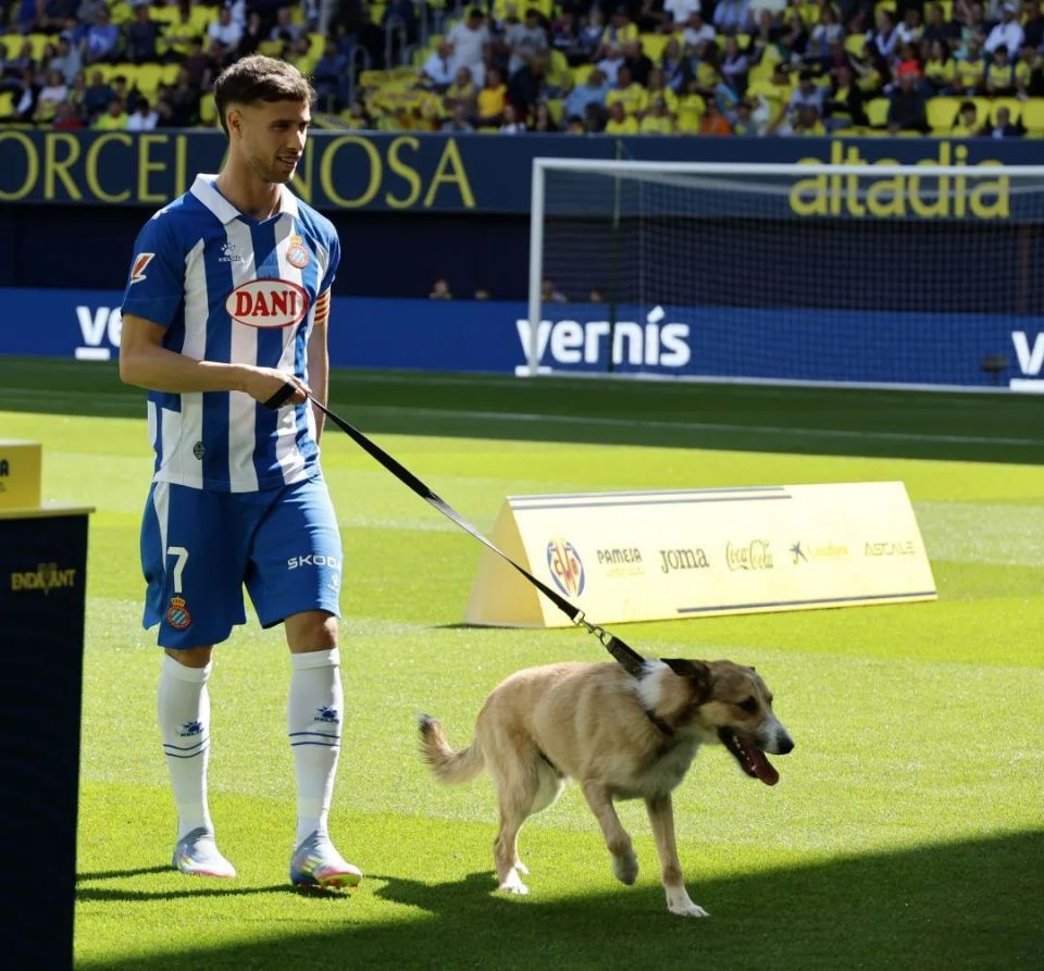 比利亚雷亚尔客场获胜，展现团队力量的简单介绍