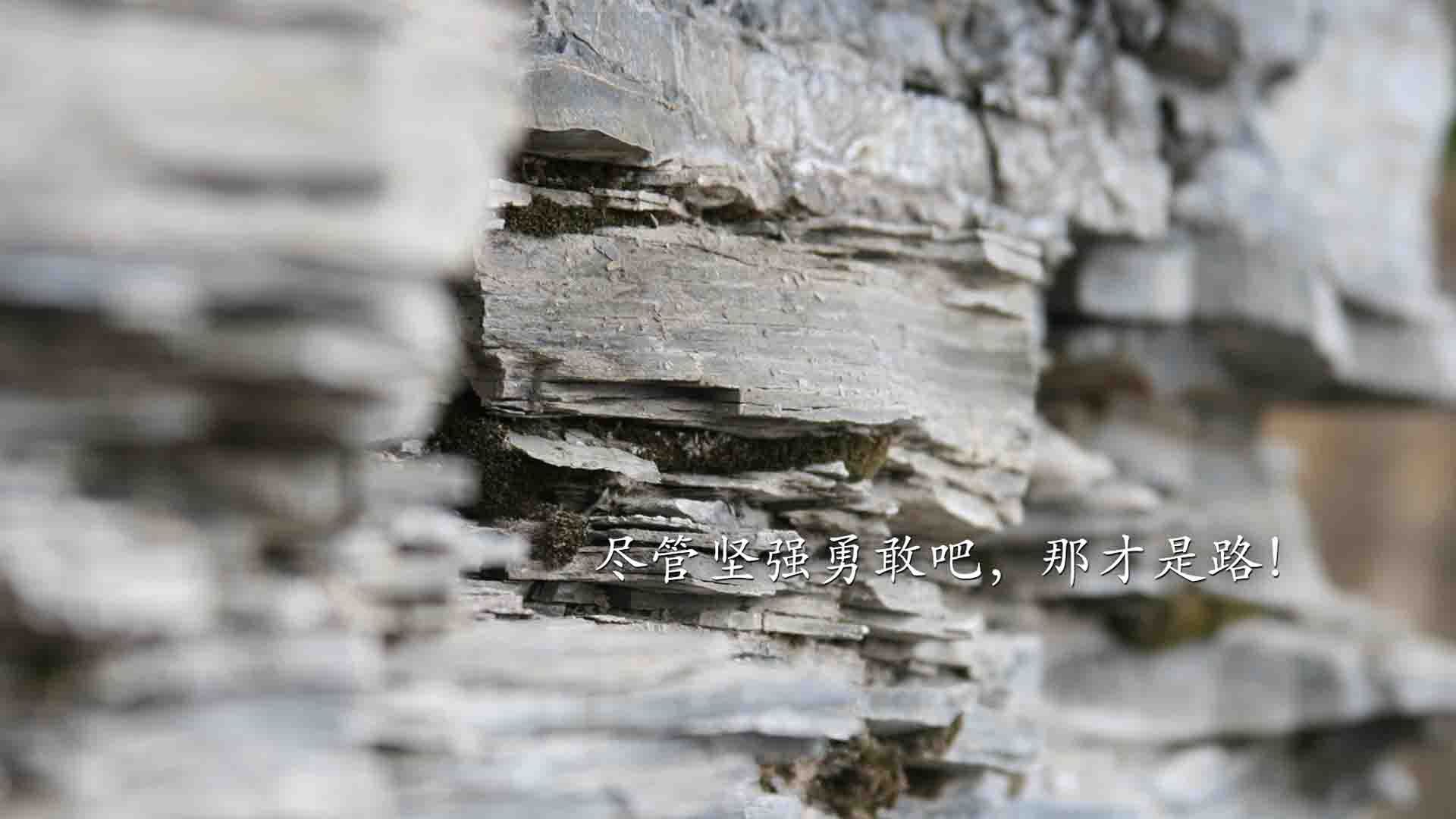 -湖人火箭对决中的第三者，塔图姆如何成为攻防转换的隐形核心？